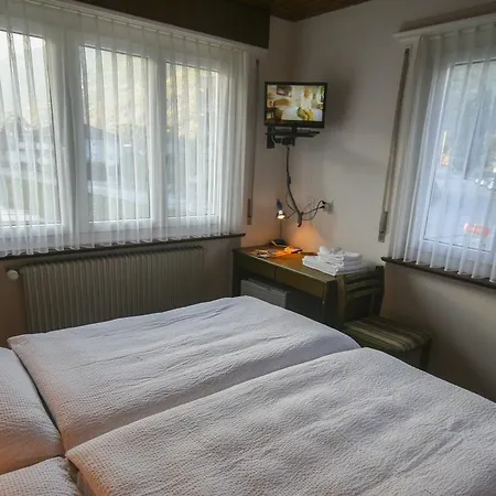Hotel-restaurant Bergheim Hotel *