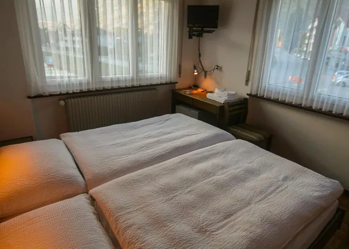 Hotel-restaurant Bergheim מלון